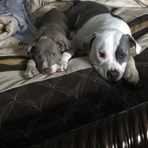 Meet your Posher, Jill